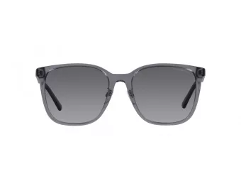 Emporio Armani Lunettes de Soleil EA 4206D 5029T3