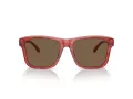 Emporio Armani Lunettes de Soleil EA 4208 605373
