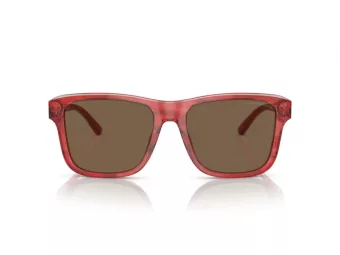 Emporio Armani Lunettes de Soleil EA 4208 605373