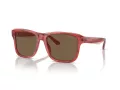 Emporio Armani Lunettes de Soleil EA 4208 605373