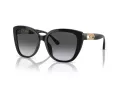 Emporio Armani Lunettes de Soleil EA 4214U 50178G