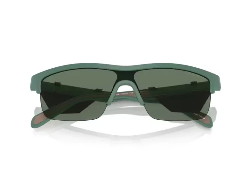 Emporio Armani Lunettes de Soleil EA 4218 610276