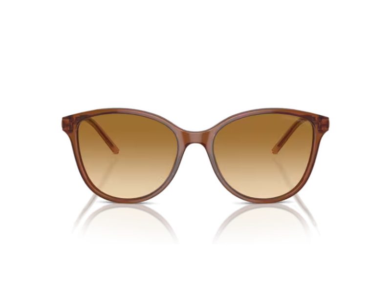 Emporio Armani Lunettes de Soleil EA 4220 61103B