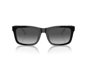Emporio Armani Lunettes de Soleil EA 4224 5017T3
