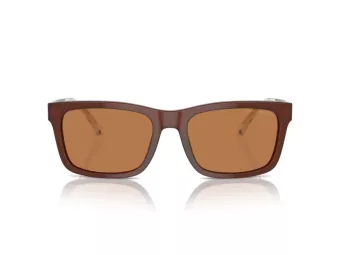 Emporio Armani Lunettes de Soleil EA 4224 609573