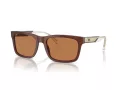 Emporio Armani Lunettes de Soleil EA 4224 609573