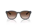 Emporio Armani Lunettes de Soleil EA 4225U 508813