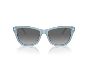 Emporio Armani Lunettes de Soleil EA 4227U 609611