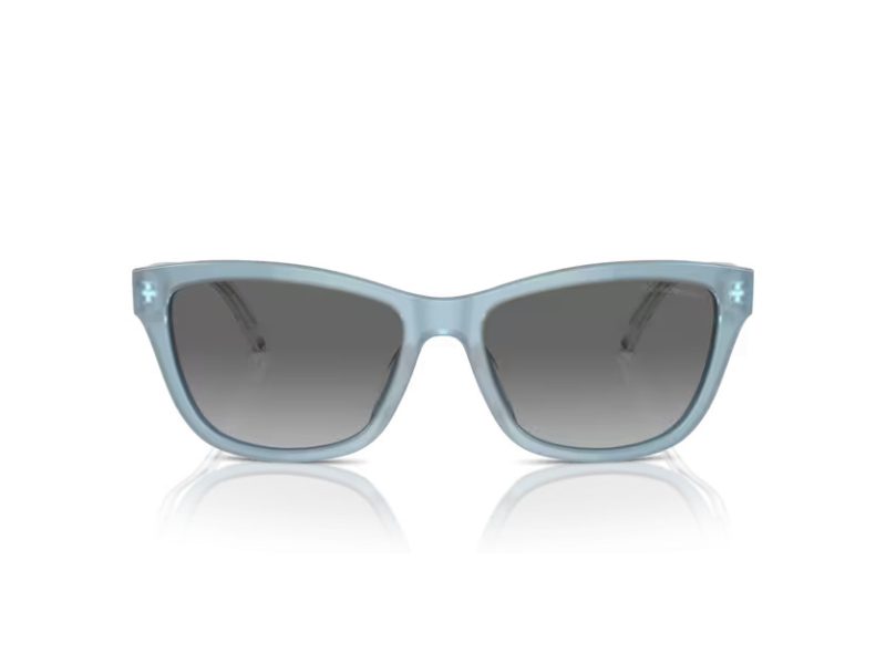Emporio Armani Lunettes de Soleil EA 4227U 609611