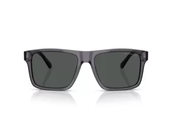 Emporio Armani Lunettes de Soleil EA 4232 610687