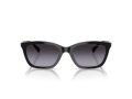 Emporio Armani Lunettes de Soleil EA 4238 50178G