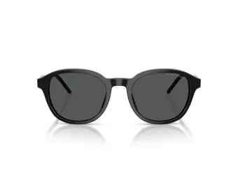 Emporio Armani Lunettes de Soleil EA 4247U 501787