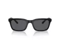 Emporio Armani Lunettes de Soleil EA 4249U 500181