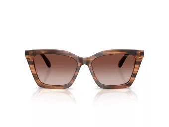 Emporio Armani Lunettes de Soleil EA 4250U 626613
