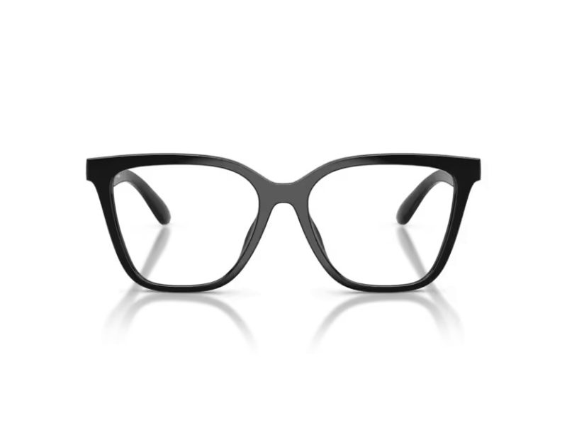 Emporio Armani Lunettes de Soleil EA 4254U 50171W