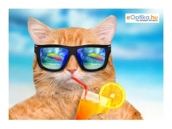 Chiffon à lunettes
