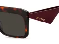 Etro Lunettes de Soleil ETRO 0045/G/S 65T/70
