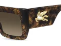 Etro Lunettes de Soleil ETRO 0108/S H7P/HA