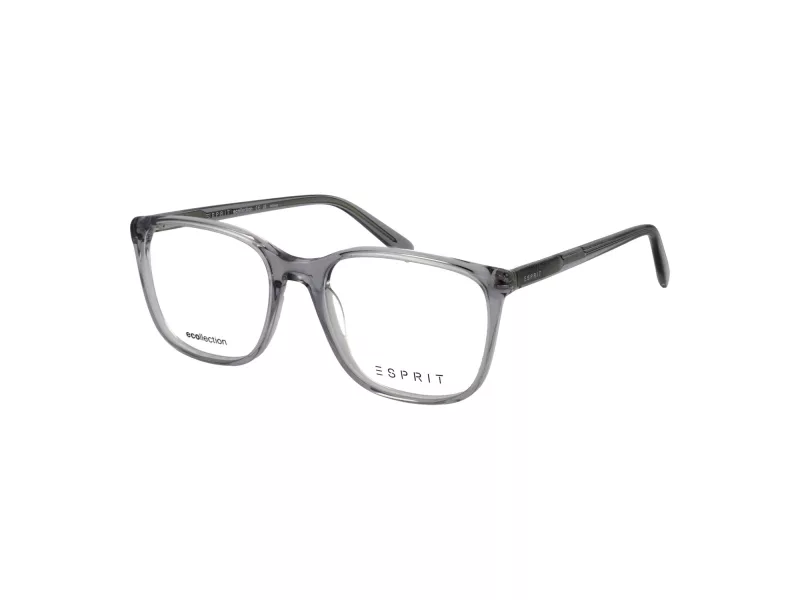 Esprit Lunettes de Vue ET 33509 505