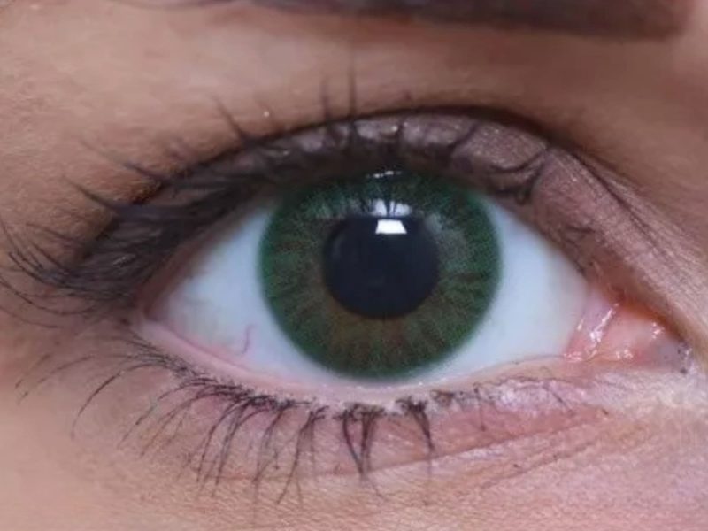 ColourVUE Couche unique Vert (2 lentilles)