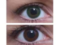 ColourVUE Couche unique Vert (2 lentilles)