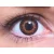 ColourVUE Colour Magic Trois couches Marron (2 lentilles)