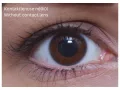 ColourVUE Yeux de bébé - Cool Bleu (2 lentilles)