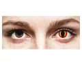 ColourVUE Crazy One-Day Dragon Eyes (2 lentilles)