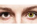 ColourVUE Crazy One-Day Mad Hatter (2 lentilles)