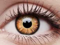 ColourVUE Crazy One-Day Twilight (2 lentilles)