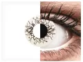 ColourVUE Crazy One-Day Vikingdom (2 lentilles)