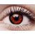 ColourVUE Crazy One-Day Volturi (2 lentilles)