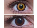 ColourVUE Crazy Orange Queue sanglante (2 lentilles) -sans dioptres
