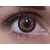 ColourVUE Crazy Twilight (2 lentilles)