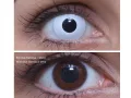 ColourVUE Crazy Whiteout (2 lentilles) -sans dioptres
