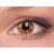 ColourVUE Crazy Jaune Léopard (2 lentilles) -sans dioptres