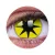 ColourVUE Crazy Jaune Étoile (2 lentilles) -sans dioptres
