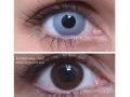 ColourVUE Crazy Zombi Gris (2 lentilles) -sans dioptres