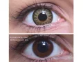 ColourVUE Glamour Vert (2 lentilles)
