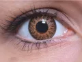 ColourVUE Glamour Marron (2 lentilles)