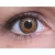 ColourVUE Glamour Marron (2 lentilles)