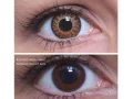 ColourVUE Glamour Marron (2 lentilles)
