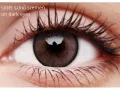 ColourVUE Lumina Shinning Brown (2 lentilles)