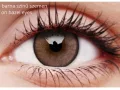 ColourVUE Lumina Shinning Brown (2 lentilles)