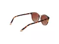 Funky Buddha Lunettes de Soleil FB 2046 001