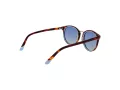 Funky Buddha Lunettes de Soleil FB 2046 004
