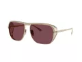 Ferrari Lunettes de Soleil FH 1014T 302/1E