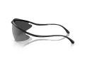 Ferrari Lunettes de Soleil FH 1015 101/6G