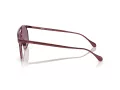 Ferrari Lunettes de Soleil FH 1017 120/7J