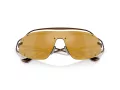 Ferrari Lunettes de Soleil FH 1023T 310/7P
